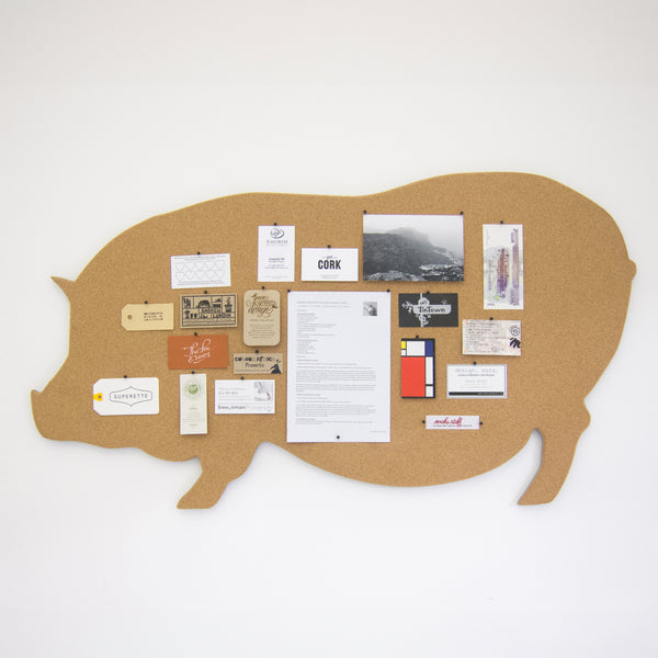Potbellied Pig Pinboard