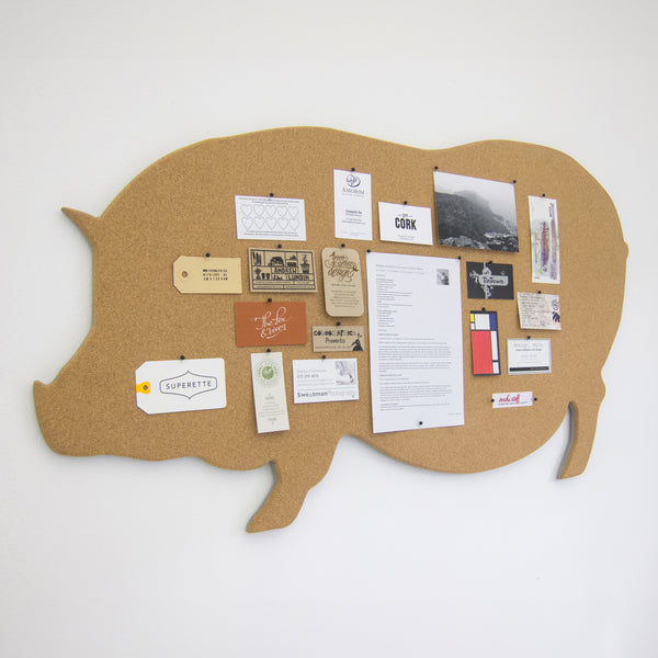 Potbellied Pig Pinboard